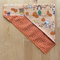 Kms Peanuts Autumn Bandana