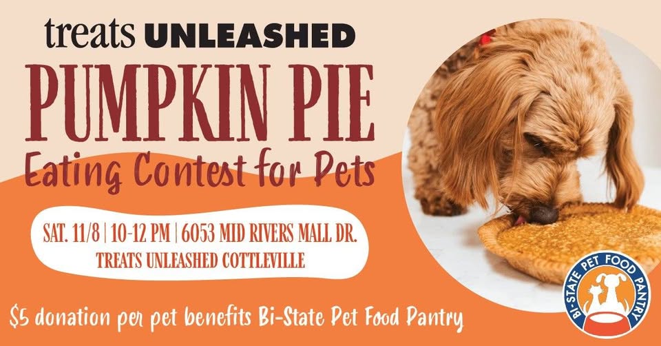 Cottleville Pie Eating Contest Returns for 2025