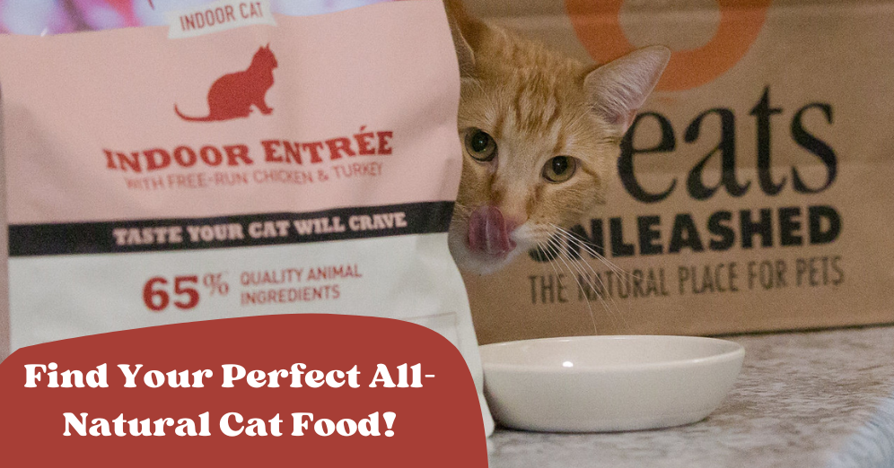 Shopping All-Natural Cat Food at TU!