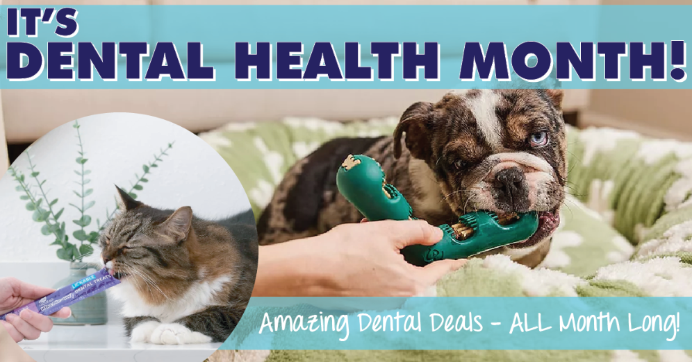 Brush Smarter, Not Harder this Dental Health Month
