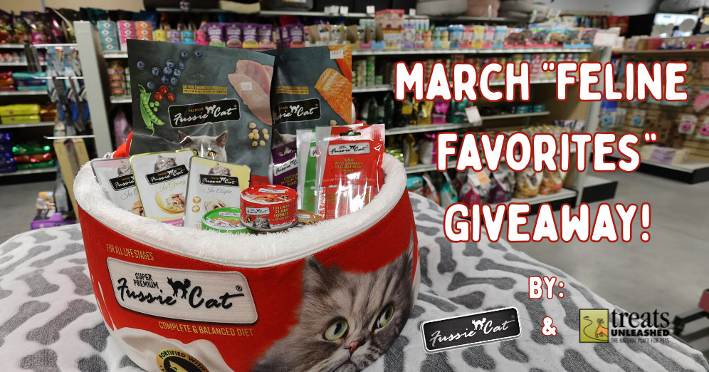 Win A Bundle of Fussie Cat Favorites This March