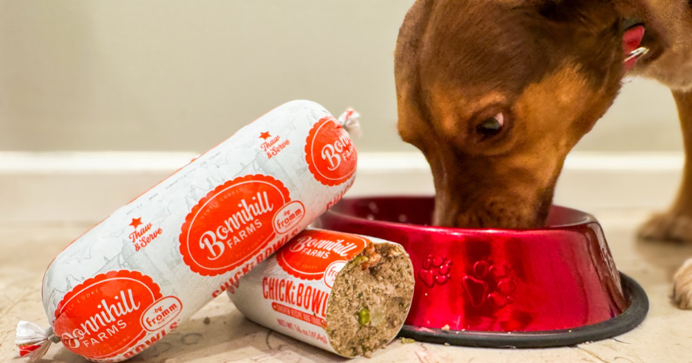 Is High-Protein Dog Food Important for Your Pup?