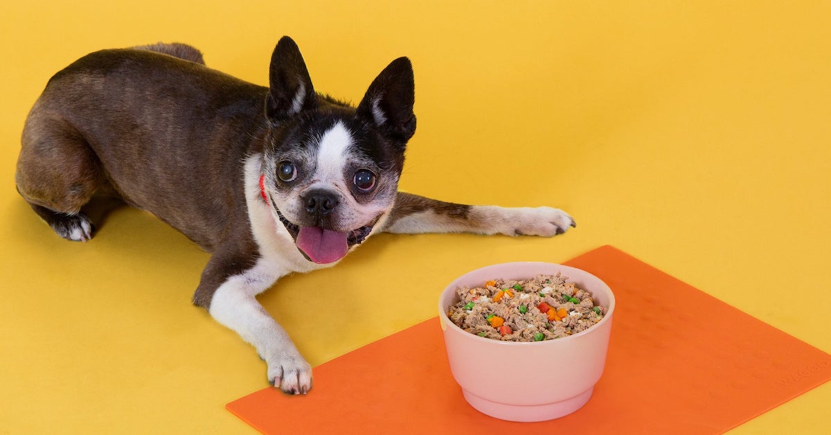 Something NEW! A Pup Above Gently Cooked Foods