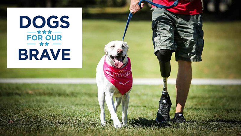 Learn More About Dogs for Our Brave