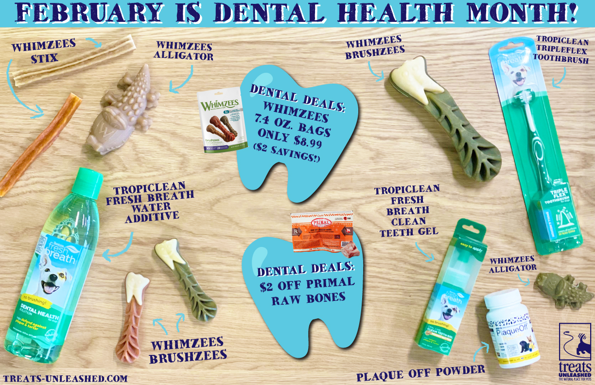 Dental Health Month