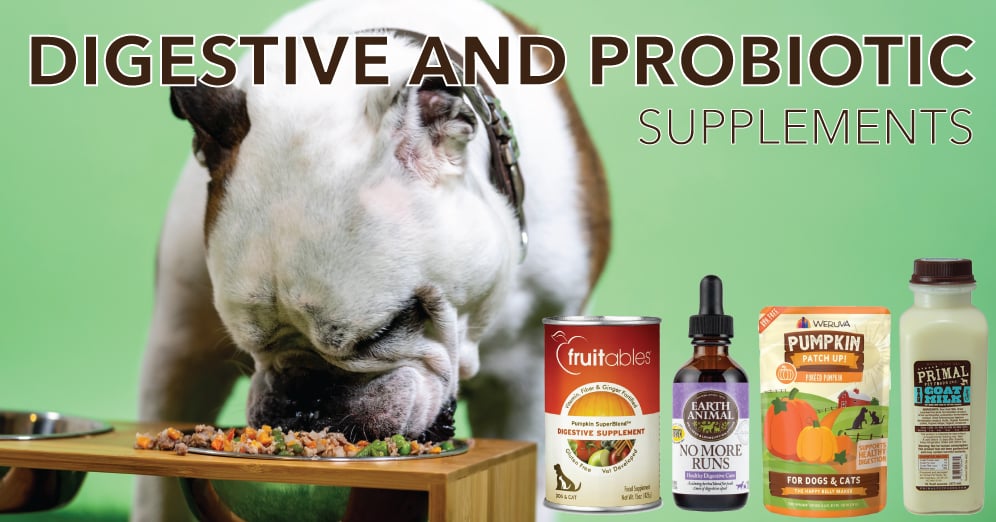 Go With Your Gut - Learn How to Heal Your Pet's Gut!