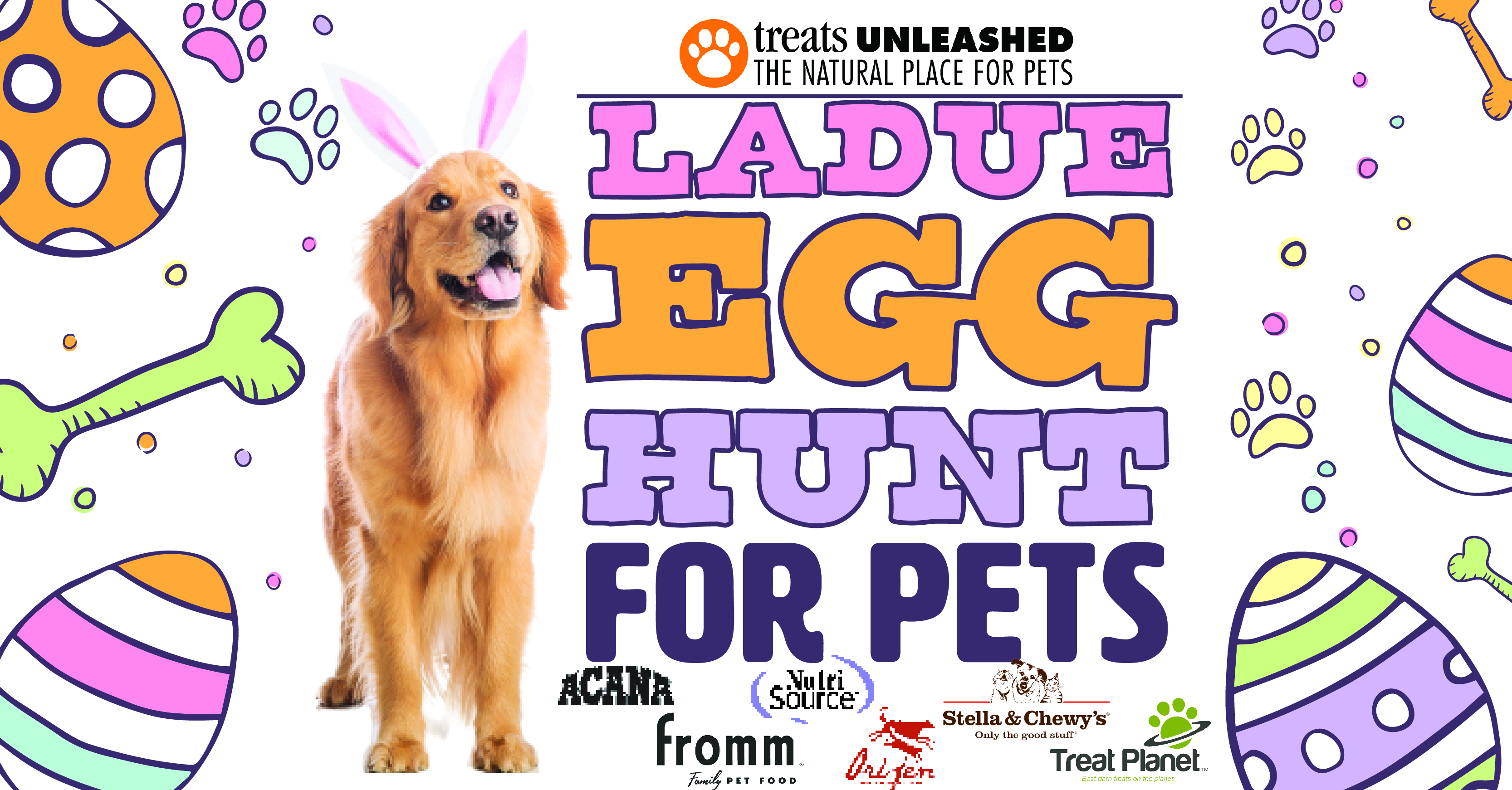 Dog best sale egg hunt