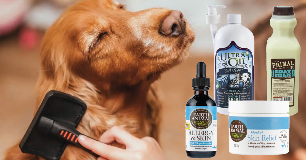 Help Your Pet Shine Bright Like a Diamond by Maintaining Their Skin & Coat Health!