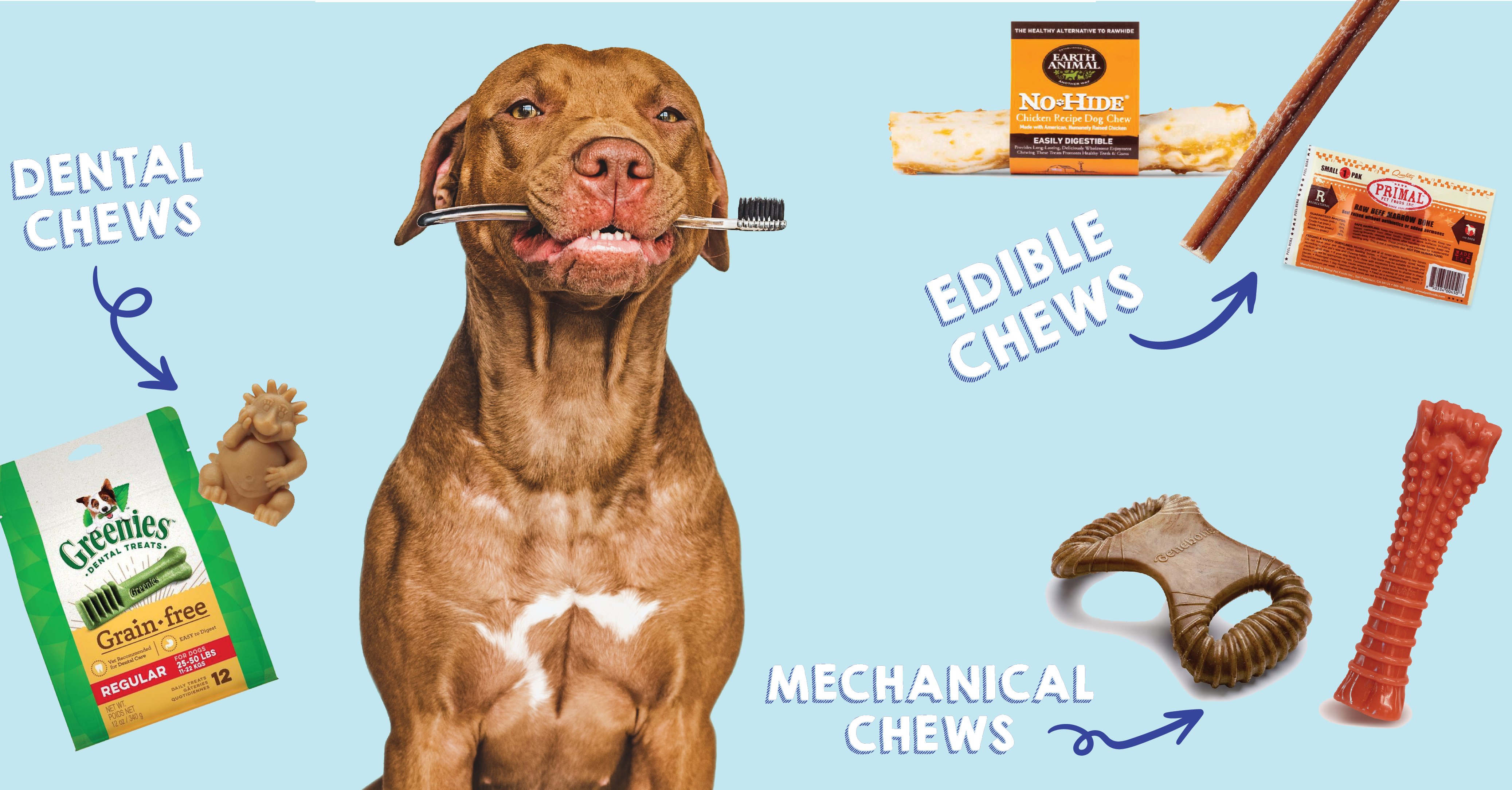 Dog discount brushing chews