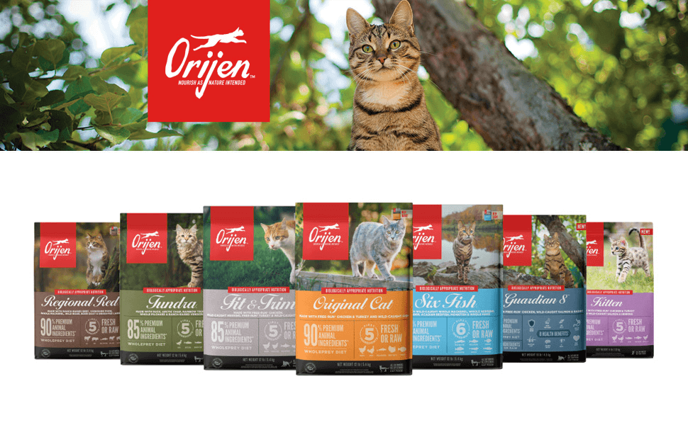 New Dry Food Solutions from Orijen for Cats