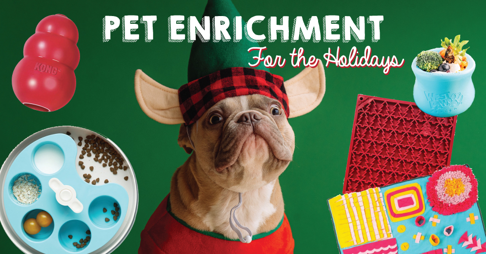 Pet Enrichment for the Holidays!