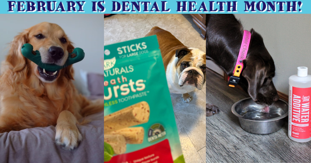 Brushing Up for Dental Health Month