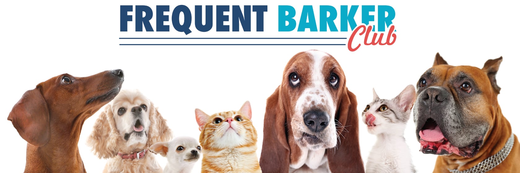 frequent buyer club banner