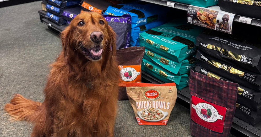 Tips for Selecting the Right Fromm Dog Food for Your Dog