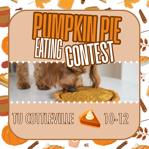 Cottleville Pie Eating Contest