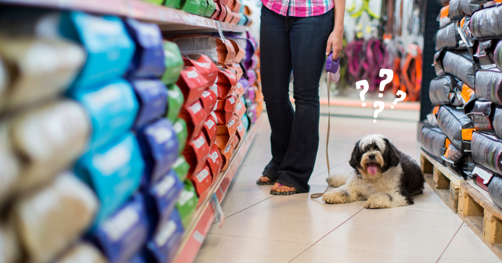 Choose Premium Pet Food for Your Furry Companion
