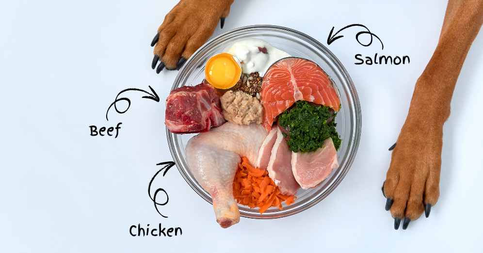 Get Sufficient Protein in Your Pet Food