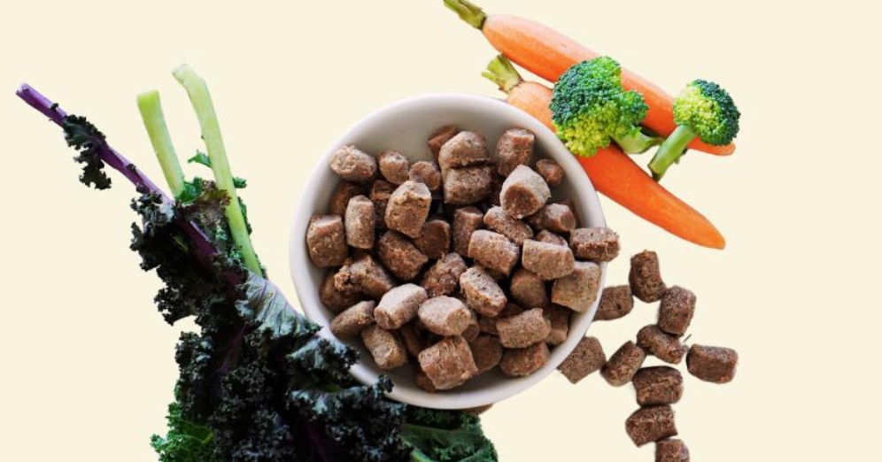 Why Go Raw with Pet Food? 