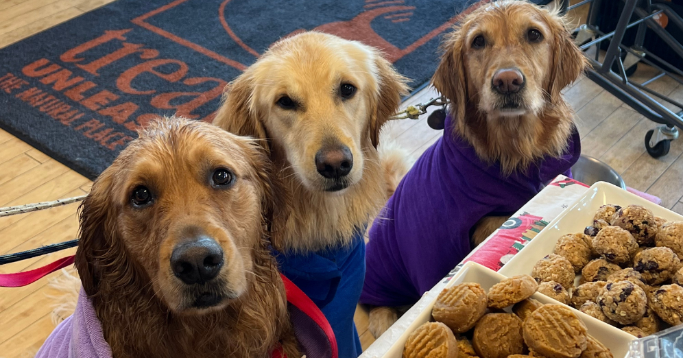 Why Local Bakeries Outshine Big-Box Stores