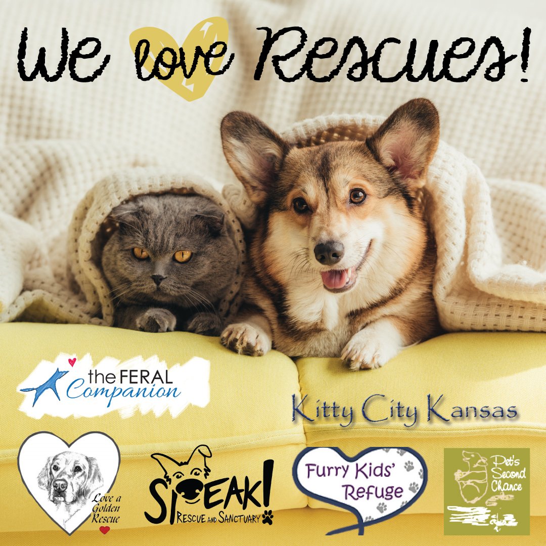 Sub Banner - We Love Rescues