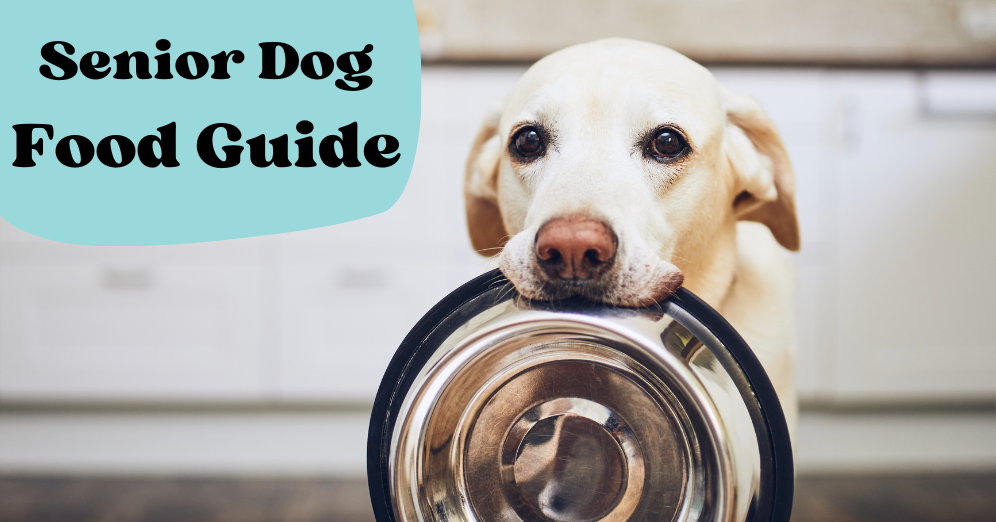  Senior Dog Food Guide