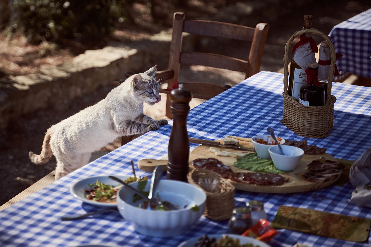 What Thanksgiving Foods Are Safe For Pets?