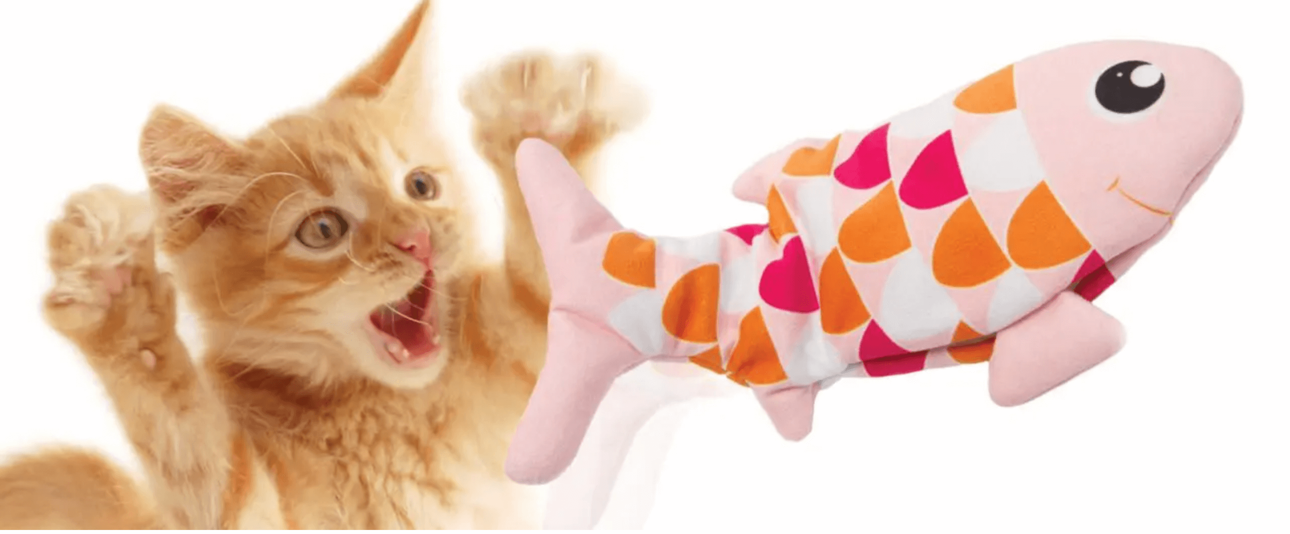 Interactive Toys Your Cats Will LOVE