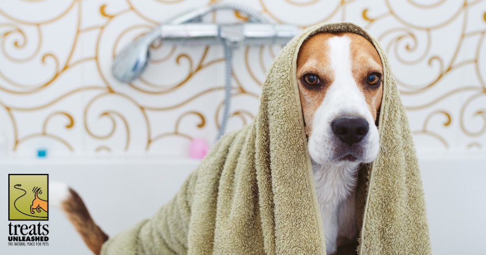 Simple Ways to Keep Them Fresh