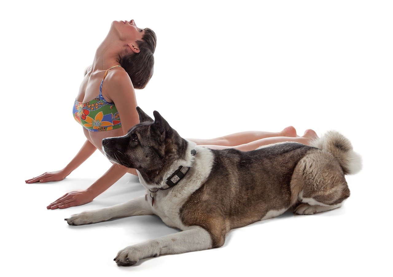 Personal Trainer Plans for Pets