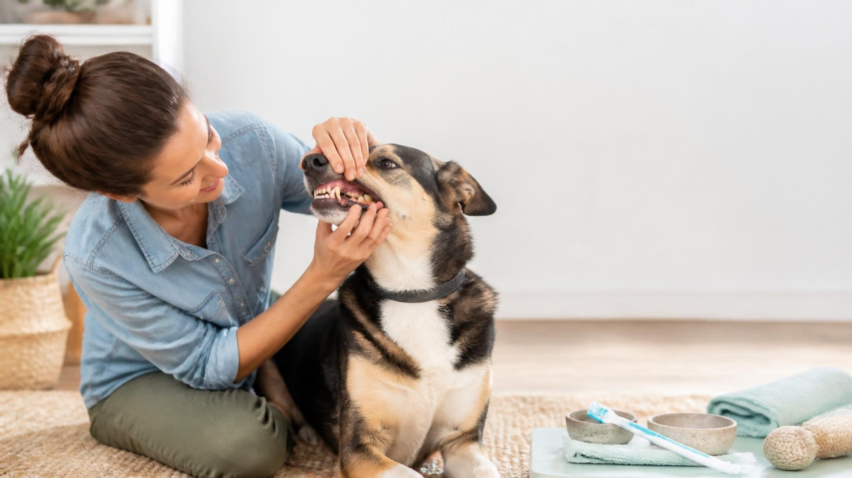 Spotting the Silent Warning Signs in Your Pet’s Smile