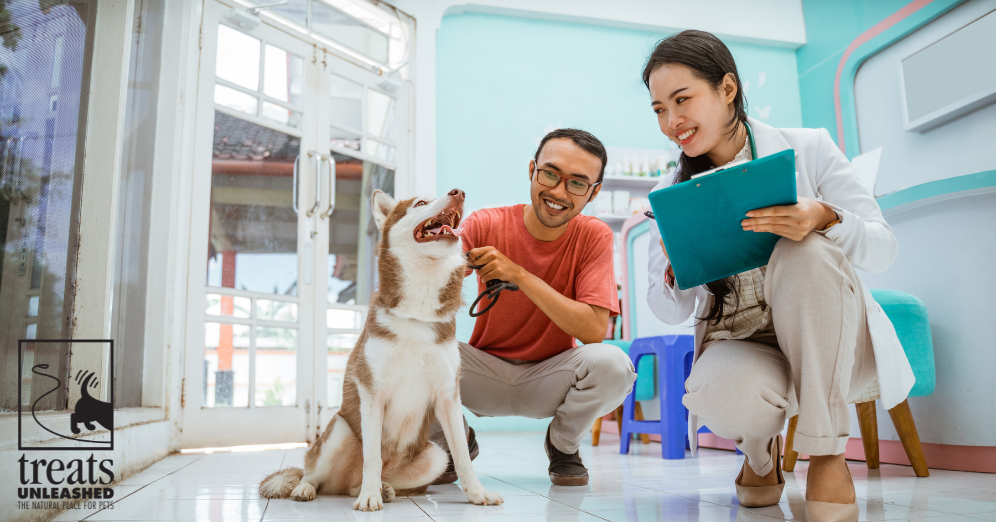 Inside a Vet’s Checklist
