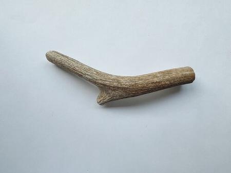 Lynchburger Whole Elk Antler
