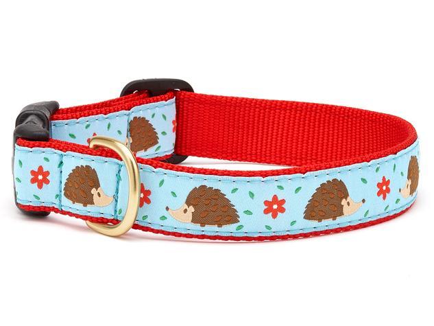  Up Country Hedgehog Collar
