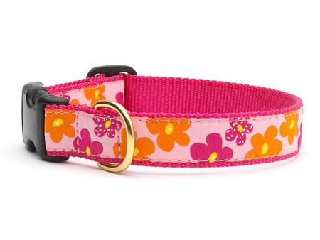 Up Country Flower Power Dog Collar