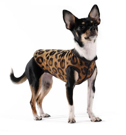 Gold Paw Duluth Double Fleece - Leopard Print and Black