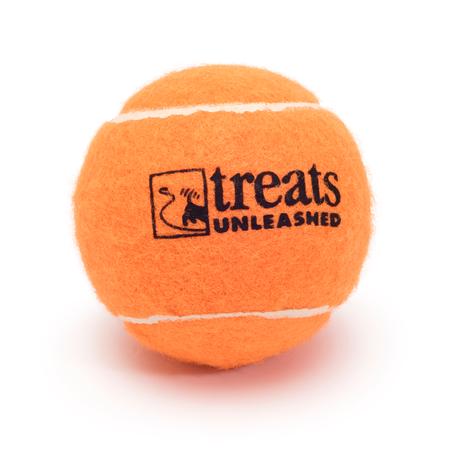 Treats Unleashed Squeaky Tennis Ball
