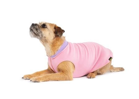 Gold Paw Duluth Double Fleece - Rose and Lavender