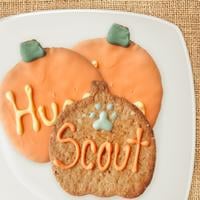 Personalized Jumbo Pumpkin Treat 3-Pack