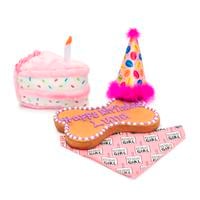 Treats Unleashed Birthday Pawty Bundle