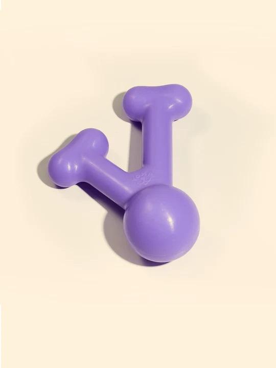  Yomp Funnybone Dog Toy