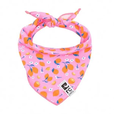 RC Pets Zephyr Cooling Bandana for Dogs - Zesty