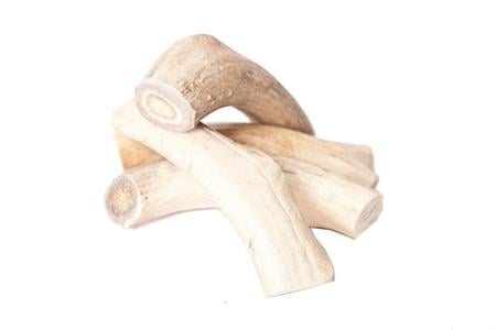 Nature's Own Naturally Shed Elk Antler - Jumbo 5-6