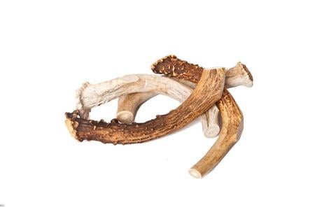 Nature's Own Naturally Shed Elk Antlers - Jumbo 7-9