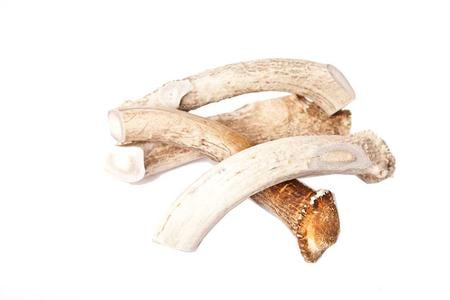 Nature's Own Naturally Shed Elk Antler - Jumbo 9-11