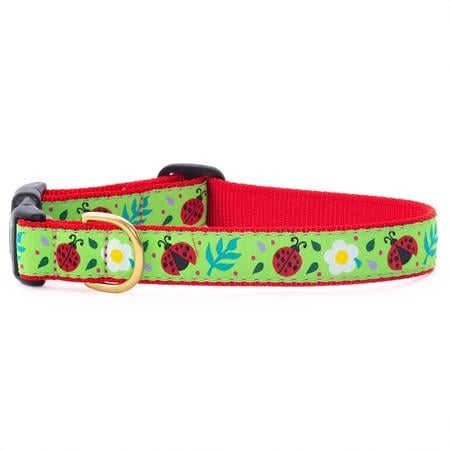 UpCountry Ladybugs Dog Collar