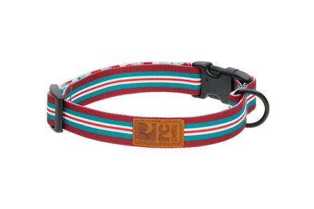 RC Pets Eco Clip Collar - Orchard Stripe