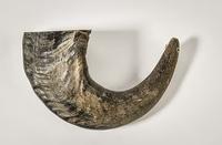 QT Dog Buffalo Hornz (Item #671963014733)