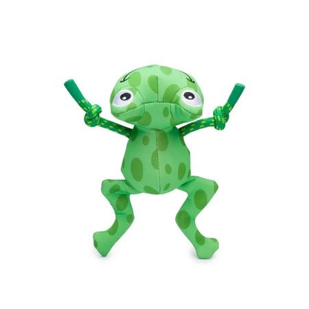 Fab Dog Floatie Frog Toy