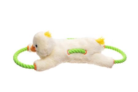 Growl Haystackerz Ducky Quackers Dog Toy