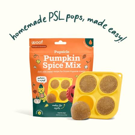 Pumpkin Spice Pupsicle Mix